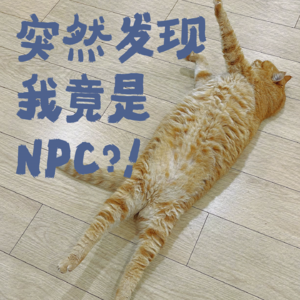 突然发现我竟是NPC？！