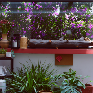 No.1 gap不是逃避，是寻找自己的征途