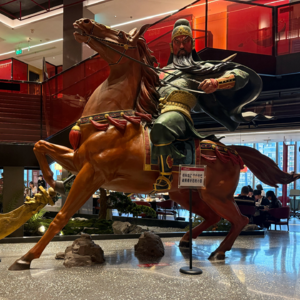 对话长沙天宝兄弟阿财丨产品主义大获胜！直把网红变长红