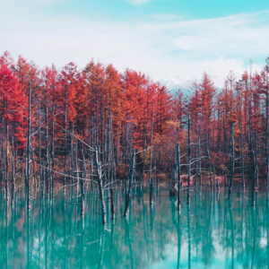 EP96 捕捉左偏风险溢价