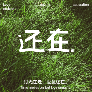 还在×飞律师:你想到与想不到的遗产