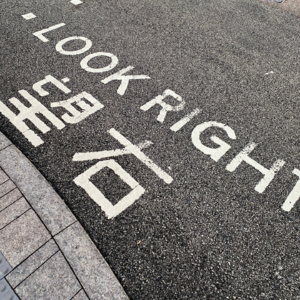 我盘算每一朵花开都是你的笑容