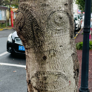 神曲25（净界·第27-28篇）