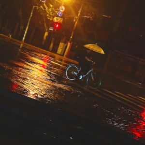 熊与树:人生这样的时刻是非常少的(上集)