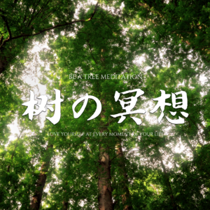 树の冥想｜显化接地｜OM唱诵、链接盖娅、舒曼共振、释放愤怒、恢复精力、发掘内在天赋才能