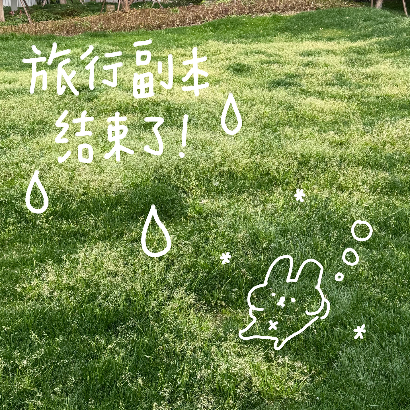 旅行结束！回归稳定的日常生活 📅 26.Apr.4 episode artwork