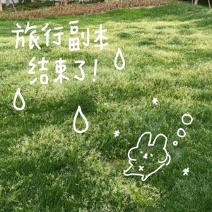 旅行结束！回归稳定的日常生活 📅 26.Apr.4