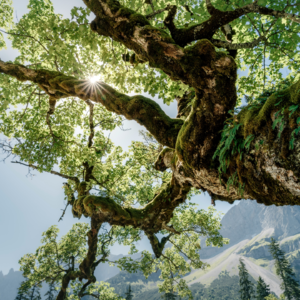 EP194 基于聚类的配对交易新策略