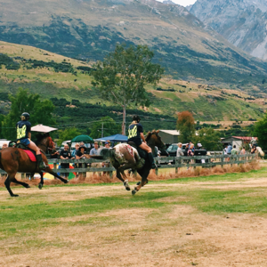 “除非扭断脖子，否则永不缺席”
