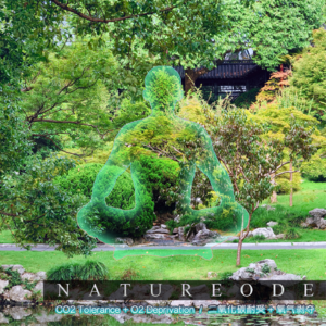 闭气冥想[精英]·庭院之息