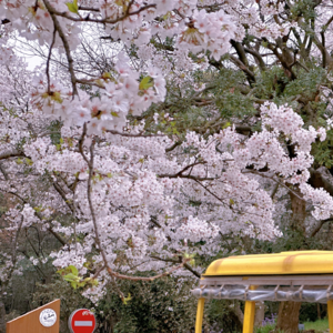 No.036-为什么AI越进步，我们反而越疲惫？