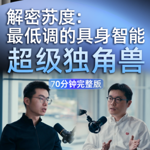 Vol.6 对话苏度科技联创/CEO韩铮：解密苏度，最低调的具身智能独角兽