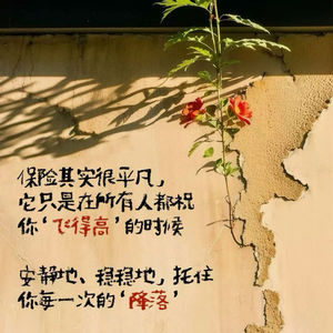 社保那点事