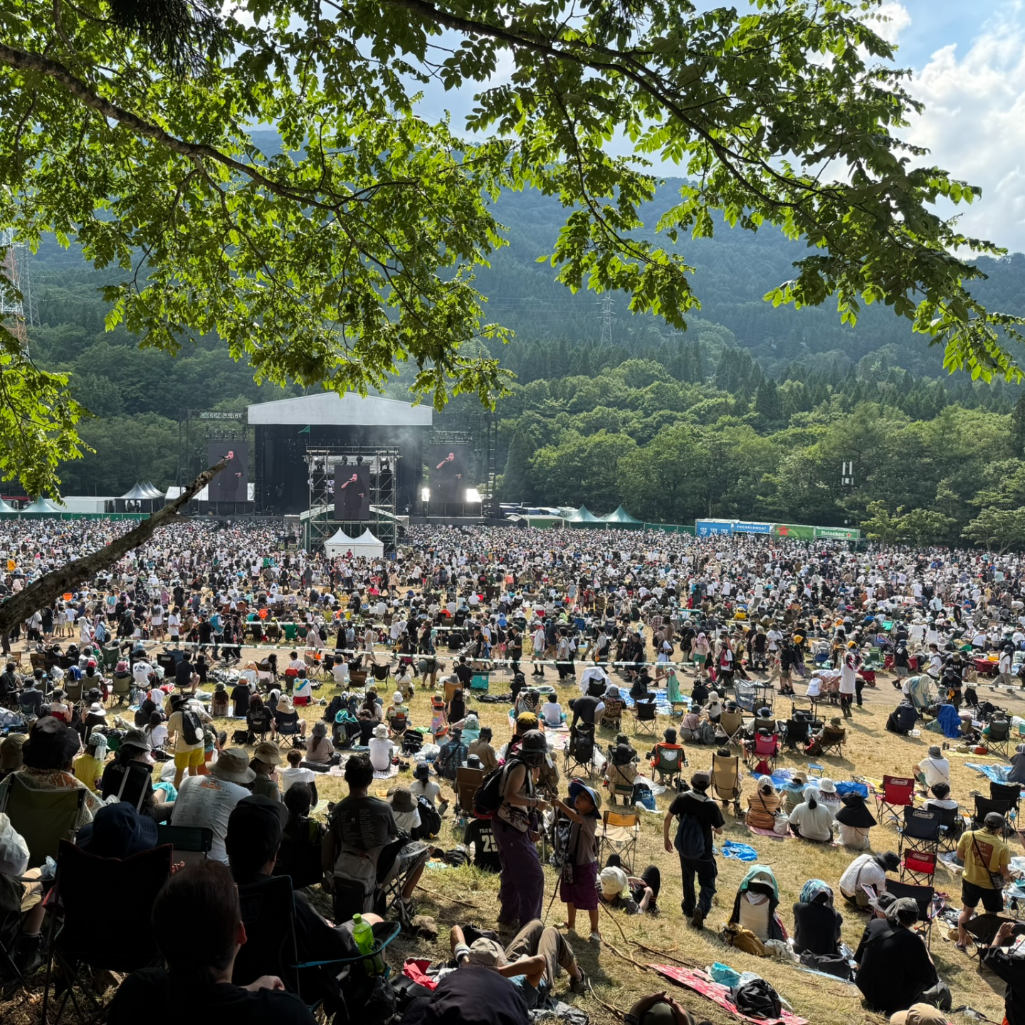 Ep 33. 自由搏击，东游西逛，FUJIROCK...热烈度过了夏天 episode artwork