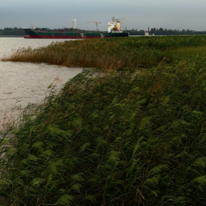 Vol.9 “工作狂”抑郁后，与大厂的百万劳动纠纷