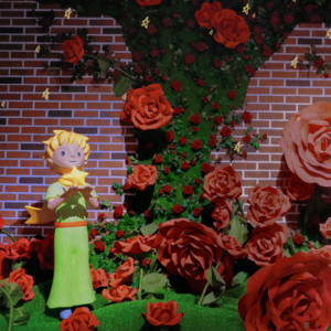 【小王子】Vol.6 有一天我看了44次日落