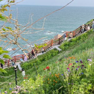 【闺蜜夜谈04】2025flag 一半垮？跟着人民日报 10 件小事，解锁辞旧迎新仪式感