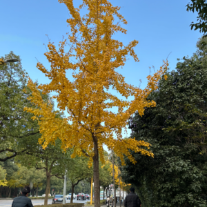 3. 生活就是以为自己行了后又不行了