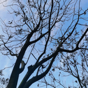 VOL90.你喜欢雨天还是晴天？