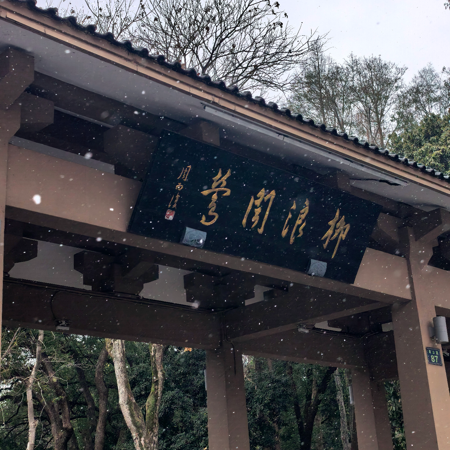 08 | 开年话题之 人生不做规划还能过吗？聊聊J人P人大不同 episode artwork