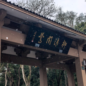 08 | 开年话题之 人生不做规划还能过吗?聊聊J人P人大不同