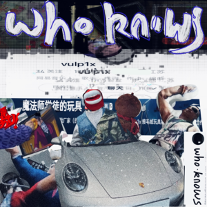 037.卡普空给我发律师函？与神鹰黑手哥联名！因为她我成为音乐人？|who言乱语