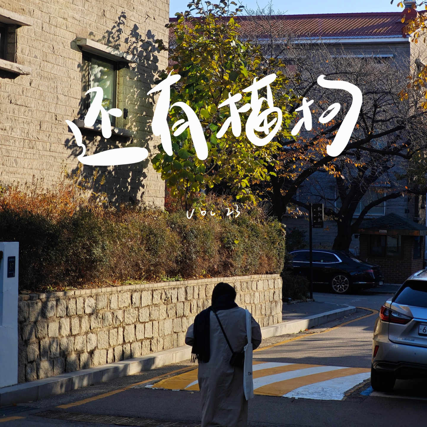 23 首尔旅行见闻：从身边和影史，看韩国 episode artwork