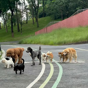 沃顿商学院2025年AI实操指南