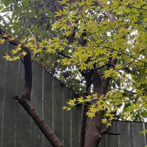 在生命的镜像中，遇见更清晰的自己