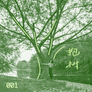 小红书上的年轻人为啥都在树上?|001抱树