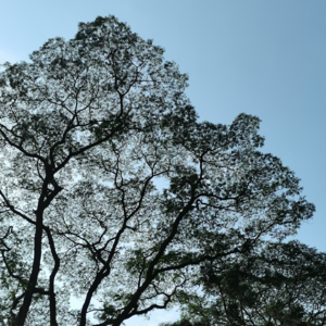 vol.22 | 怎样度过周末才算是一种休息？