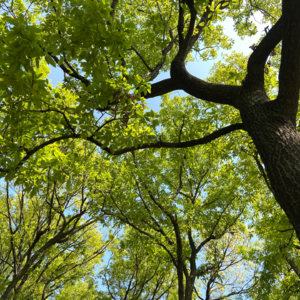 18-孕晚期、亲密关系、信仰，那些不被看见的疲惫与重生