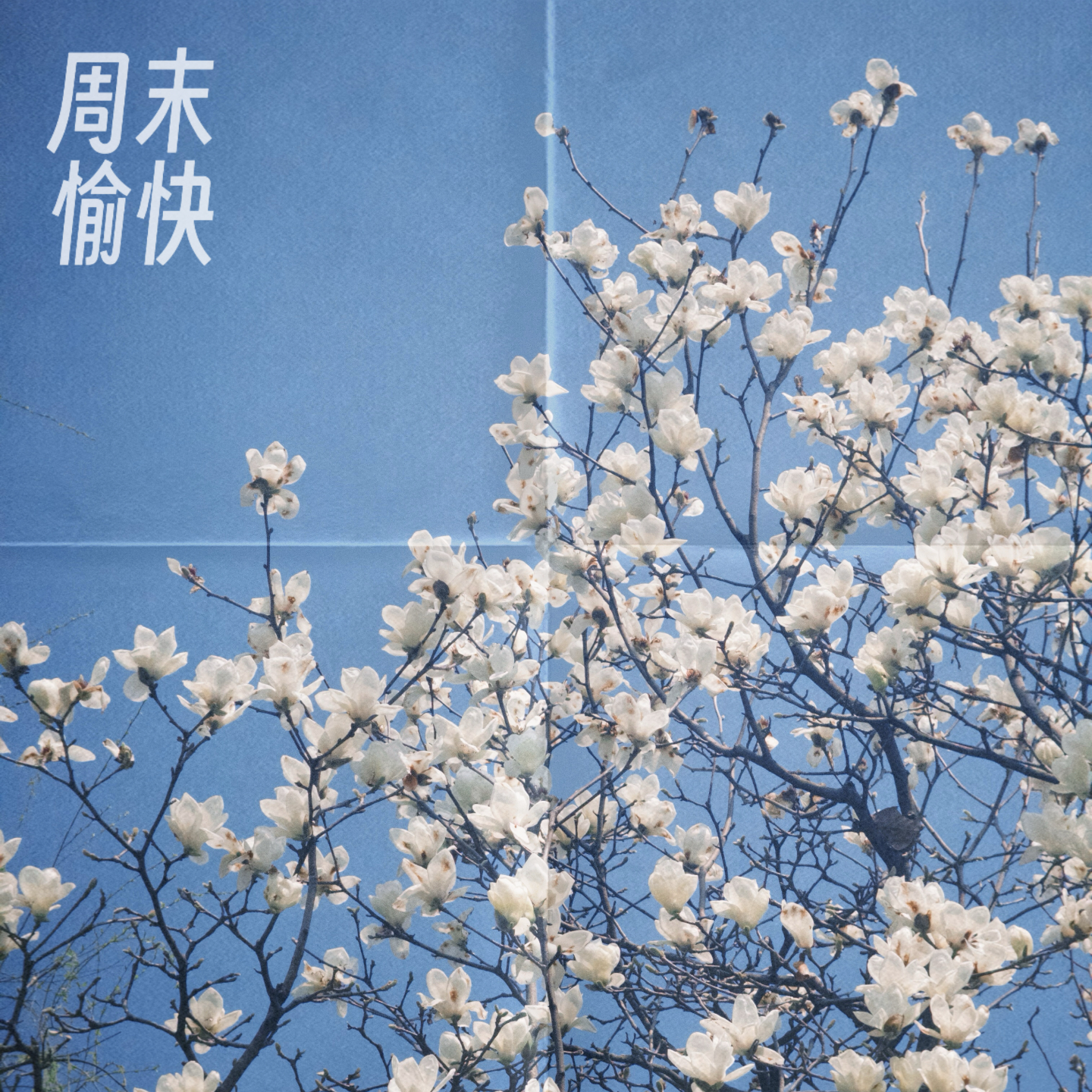 37.你最近，对自己温柔一点了吗？聊聊温柔的人、温暖的瞬间…… episode artwork