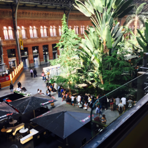 n.春游就是要坐火车！