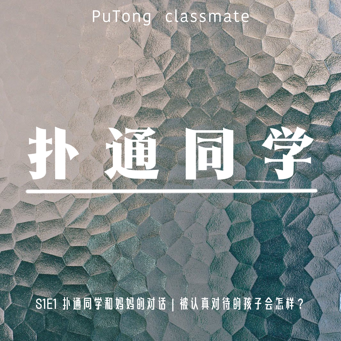 S1E01 扑通同学和妈妈的对话 | 被认真对待的孩子会怎样？ episode artwork