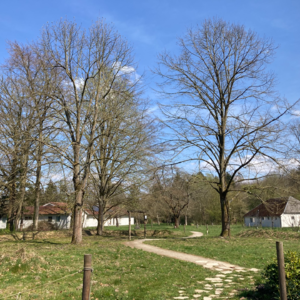 02. Vipassana