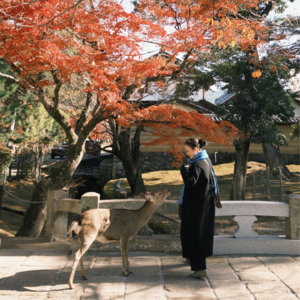 EP29 ｜2025，愿我们拥有更多的平静，活得更像自己。