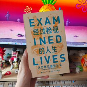 何谓“经过检视的人生”？
