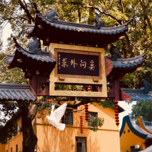 佛教原来那么有趣--求或不求？向外求或者向内求？六祖慧能说：其实我们本自具足