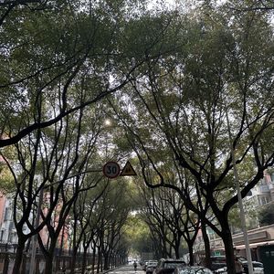 哈哈快乐曾文