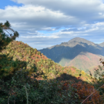 天干戊土属性【二】戊土与十天干的十组组合