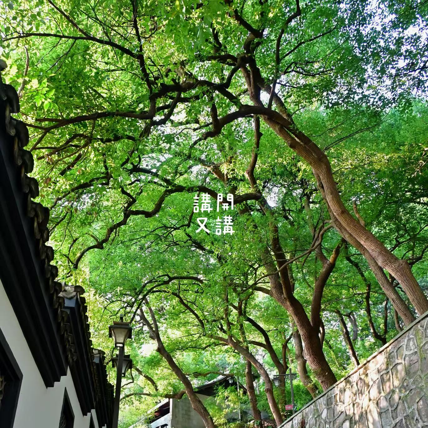 #24 流水账 | 又又又去旅游啦><!（粤语） episode artwork