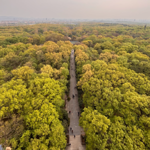 提前还贷是高位站岗者的自救法门吗？