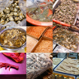 25. 想挖一块鸡肚子里香香的鸡油，煎一只刚刚胖死的梭子蟹