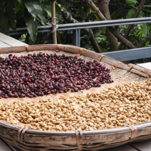 11｜大理以西，腾冲以东：从美食、咖啡到抗日战场遗址，重新发现保山之美