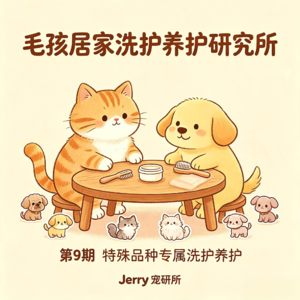 【毛孩居家洗护养护研究所】 第 9 期 特殊品种专属洗护养护｜褶皱犬、长毛猫、无毛宠、老年猫狗差异化护理