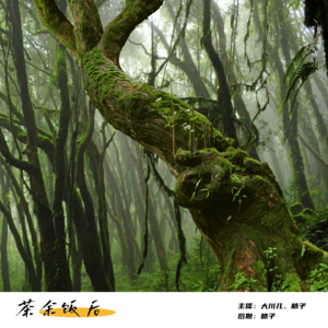 158.案件特辑|那些生命,被推进茫茫人海,再也没有浮起来-东南亚命案
