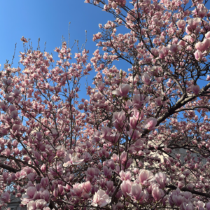 98 把自己当公司管：如何找准目标，精准发力（下）