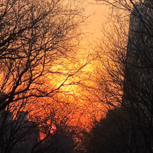 Vol.097 永远不要去“疗愈”你的伴侣｜亲密关系中最重要的一条界限