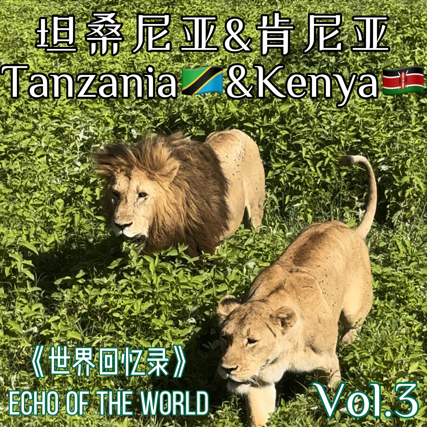 Vol.3 一生必去一次的非洲看动物Safari，到底去坦桑尼亚还是肯尼亚？ episode artwork